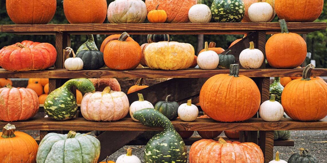 Halloween foods from history reveal the holiday’s surprising romantic side