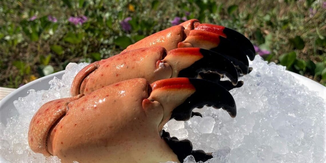 Best Sarasota, Bradenton restaurants for Florida stone crab, seafood