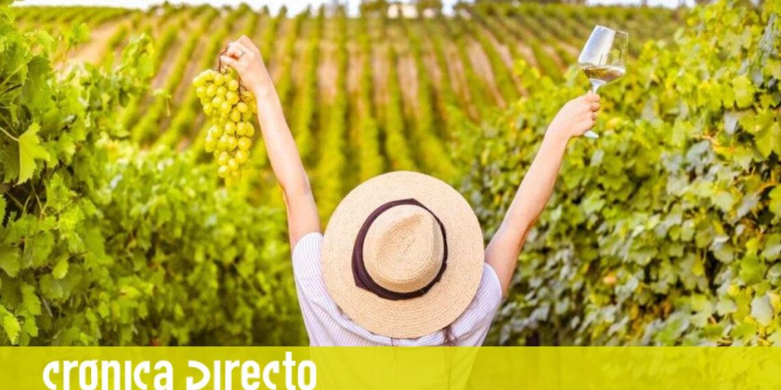 Los mejores hoteles enológicos de Cataluña: dormir entre viñedos