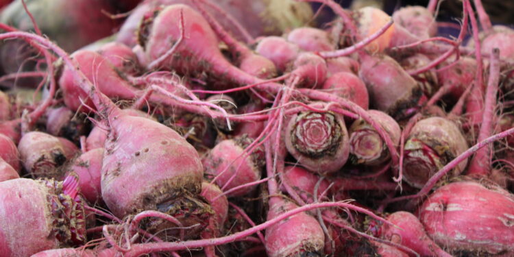 As consumers flock to organic foods, lawmakers urge more federal grants for farmers – Oregon Capital Chronicle