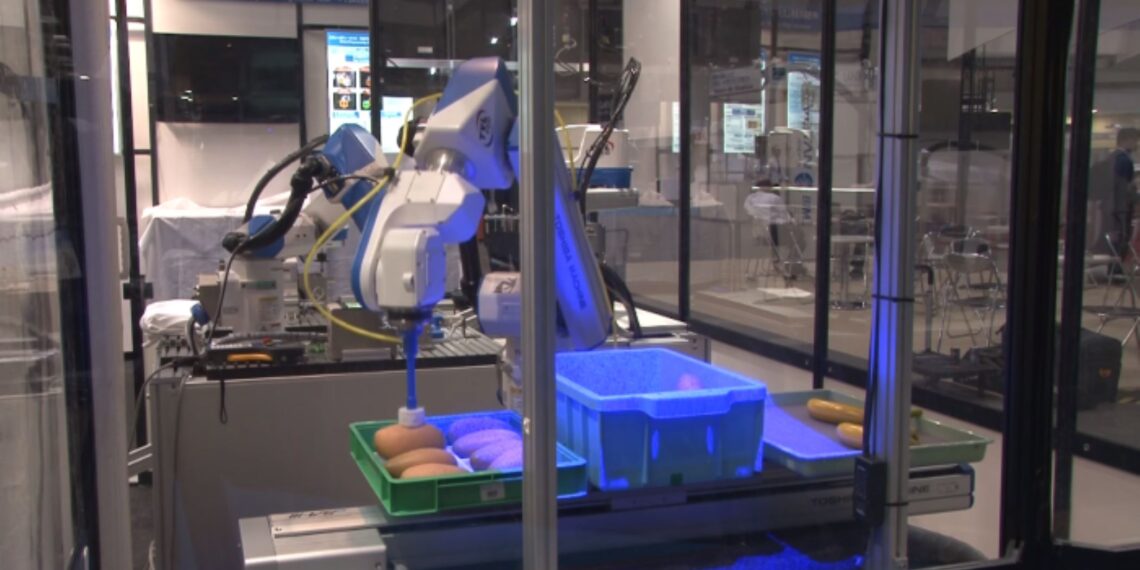Robotic vision improving food traceability