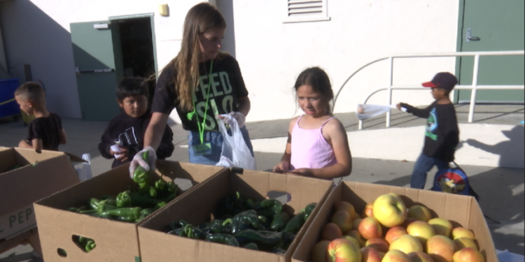 SLO Food Bank Children's Farmers Market