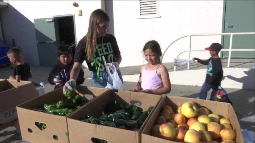 SLO Food Bank Children's Farmers Market