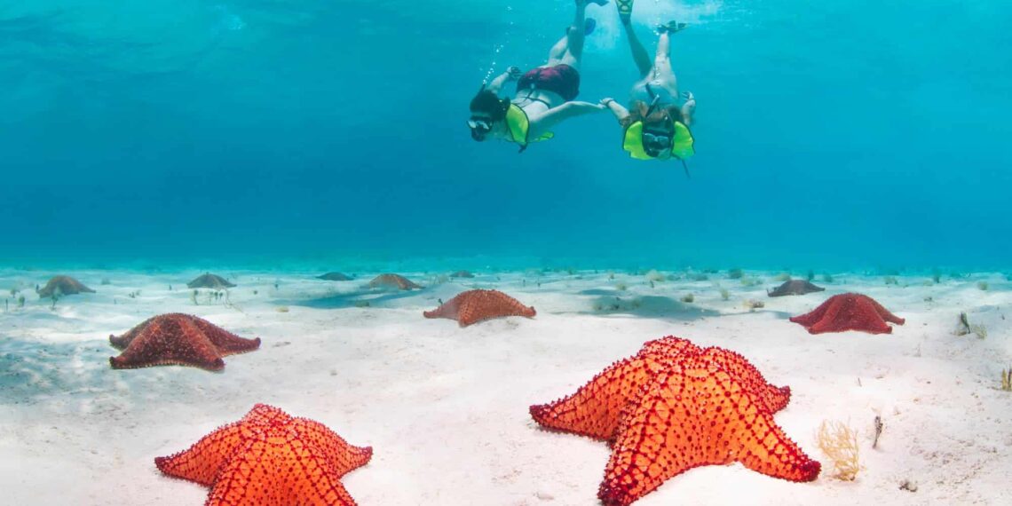 Cruceros de invierno de Norwegian Cruise Line