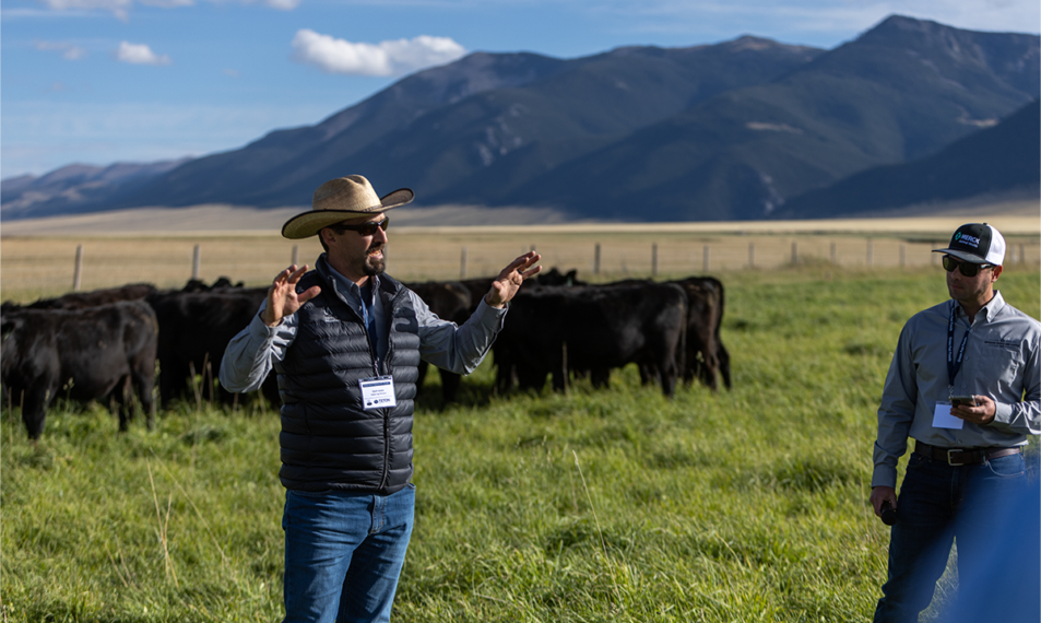 Grass Fed Foods seeks regeneratively raised beef through new partnership