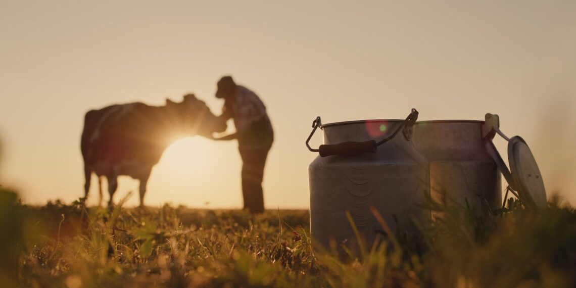 Farmers are bearing the brunt of big food companies' decarbonisation efforts – here's why