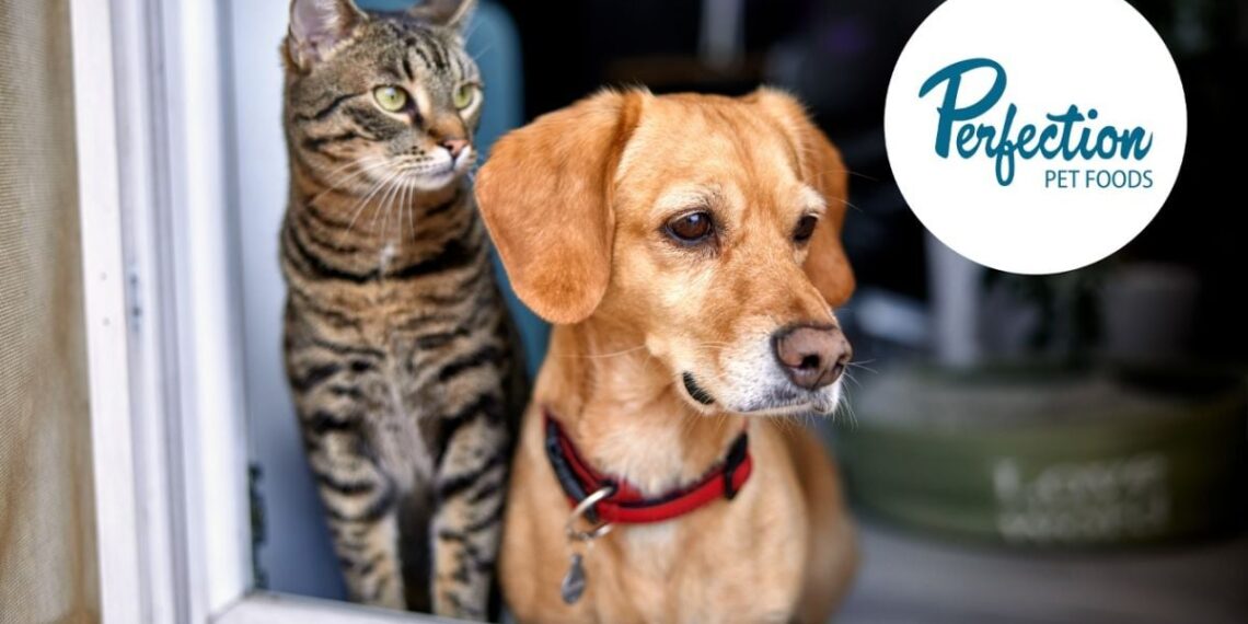 Post Holdings To Acquire Perfection Pet Foods