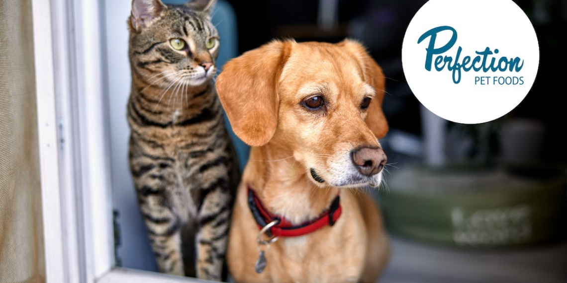 Post Holdings acquires another pet food company for $235 million