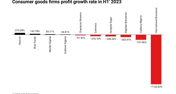 Nascon, BUA Foods lead manufacturers in profit growth in H1