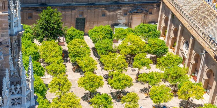 Qué hacer 24 horas en Sevilla, un paseo guiado por el arte y la literatura | El Viajero