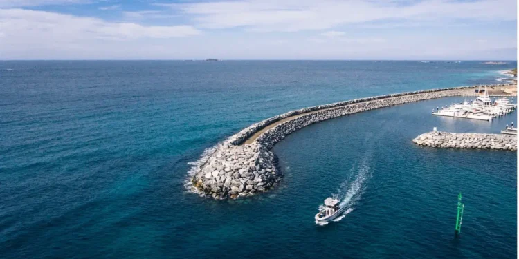 Rare Foods Australia serves up more tasty results