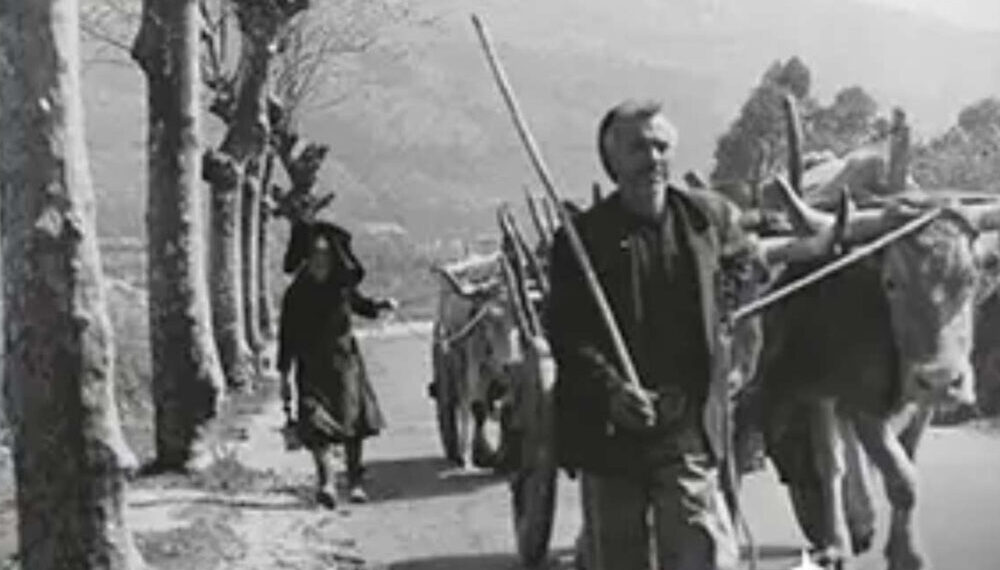 Alhenamedia redita 'Por entre el arpa y la saudade' del escritor villafanquino Ramón González Alegre