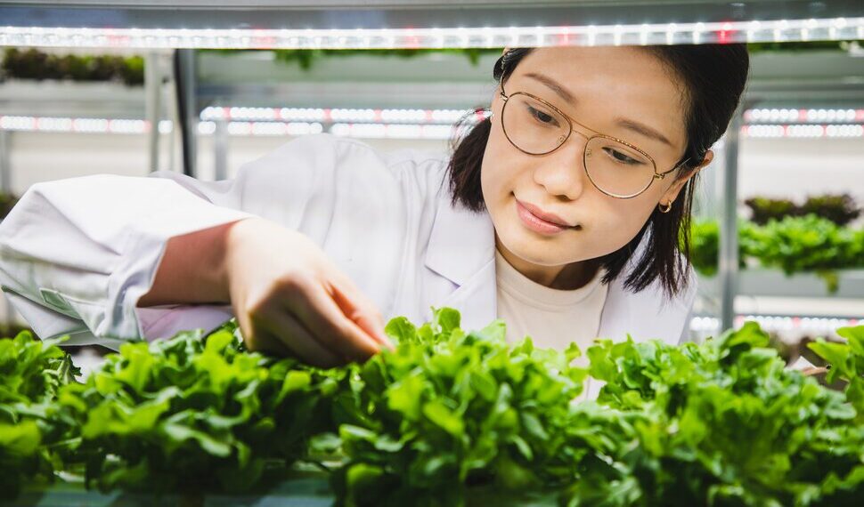 What Can You Do With a Food Science Degree? | Best Colleges