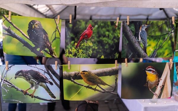 Se inaugura el Festival de las Aves del Noreste de México en el Pueblo Mágico de Santiago, Nuevo León