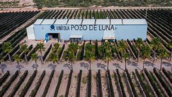 La elegancia y nobleza del Merlot: celebra su Día Internacional con Pozo de Luna