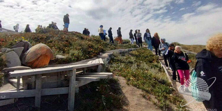 -Muchas de las agencias de viajes rionegrinas han comenzado a apostar por un perfil receptivo-