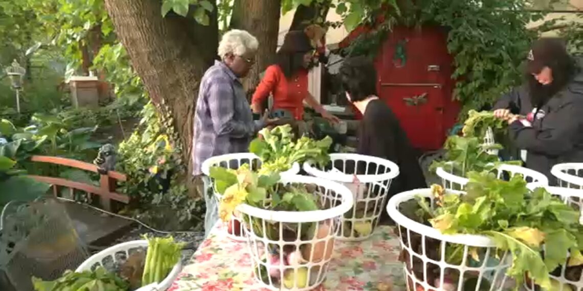 Just Food partners with farmers to help combat food insecurity in New York City, lower cost of produce