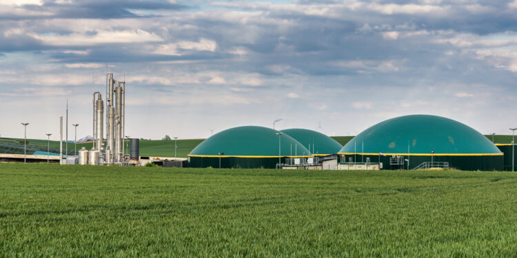 La plataforma The Green Vector y Vicky Foods firman un acuerdo para valorizar biorresiduos