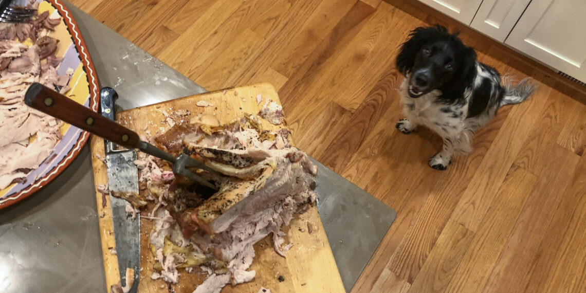 These are the Thanksgiving foods you should never share with your dog