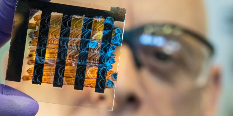 Healthy Foods: Are They Also Sustainable?