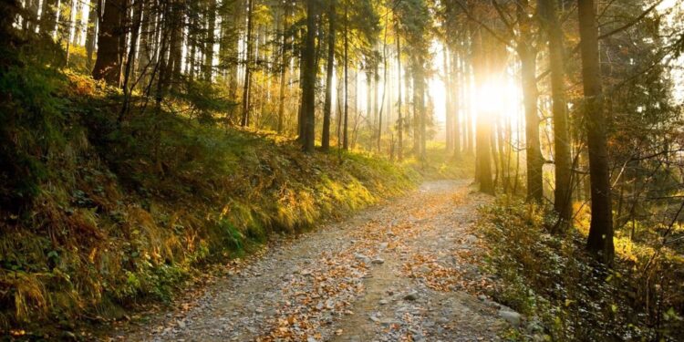 Andalucía presenta su oferta a unos 150 agentes de viajes en tres ciudades del mercado suizo