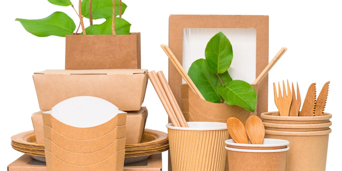 Innovations in Food Packaging: Balancing Convenience and Sustainability