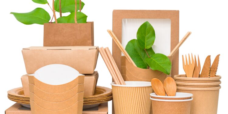 Innovations in Food Packaging: Balancing Convenience and Sustainability