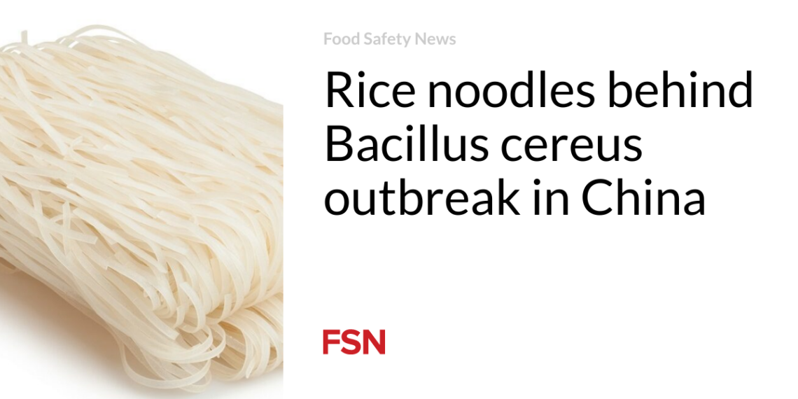 Rice noodles behind Bacillus cereus outbreak in China