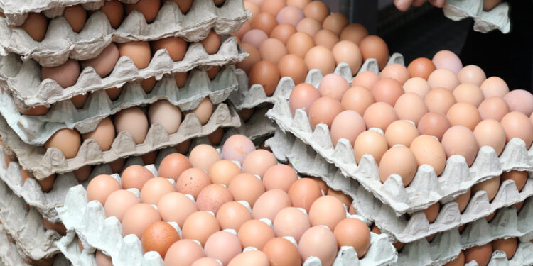 Cal-Maine Foods (CALM) is Well Positioned to Benefit from Cage-Free and Specialty Eggs