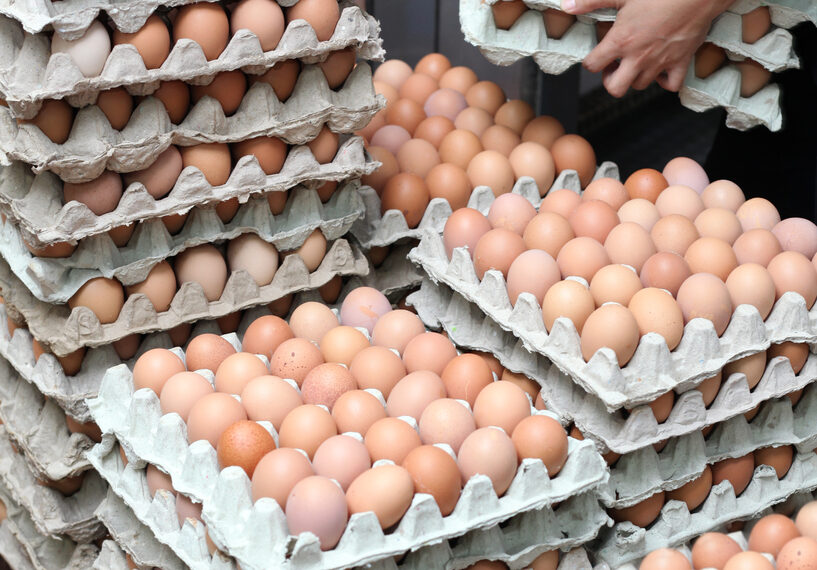 Cal-Maine Foods (CALM) is Well Positioned to Benefit from Cage-Free and Specialty Eggs