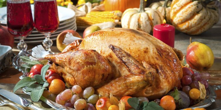 Viajes por Thanksgiving: consejos para trasladarte en auto o avión durante esta festividad | Shows Despierta América