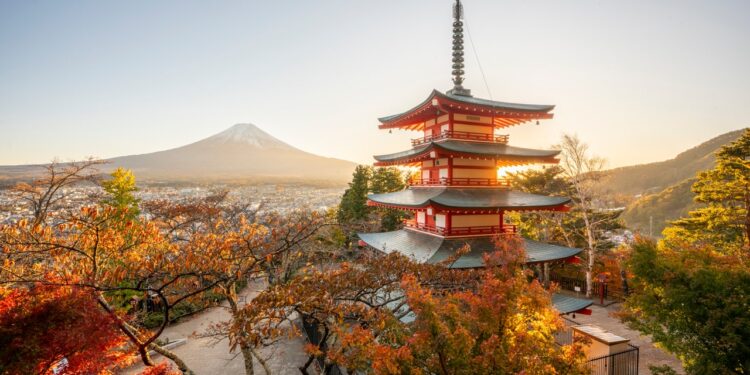 Japón: 9 consejos que facilitarán tu viaje