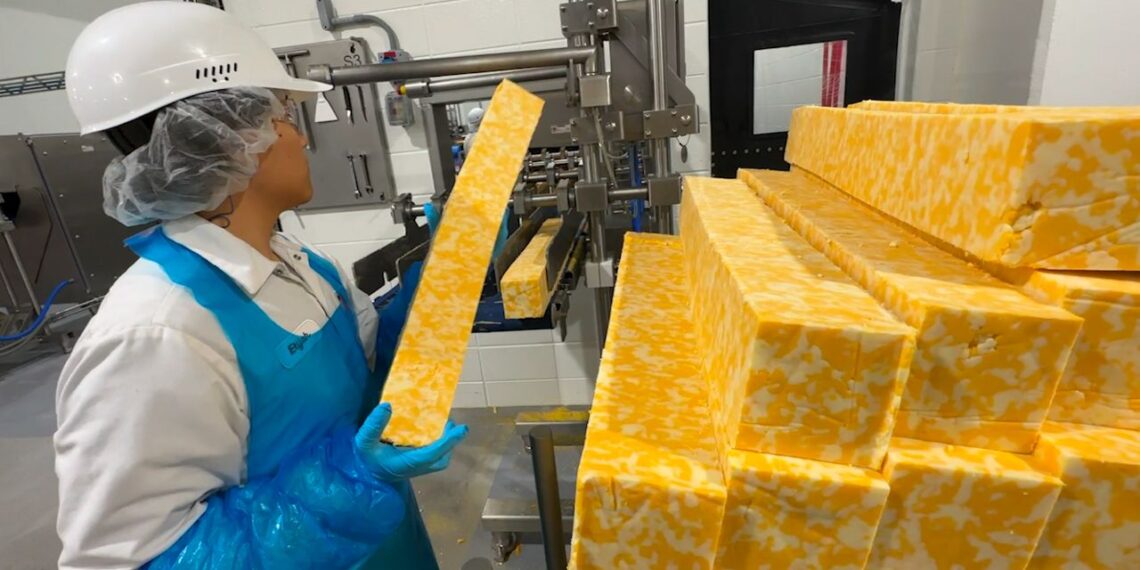Masters Gallery Foods grows to meet demand