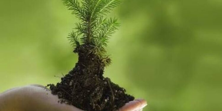 La adaptación al nuevo marco normativo es el mayor desafío de la industria del turismo para ser sostenible