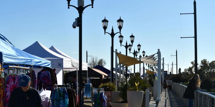 Foodees Food and Culture festival showcases variety of cuisines at 5th Street Bridge | North Augusta Community News