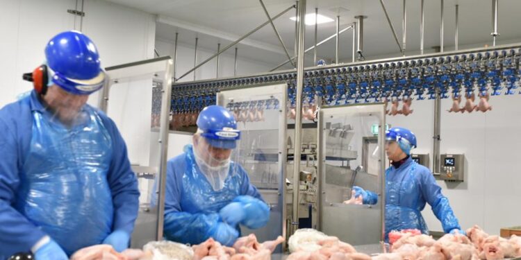 Poultry giant Avara Foods hails progress of emission reductions | News