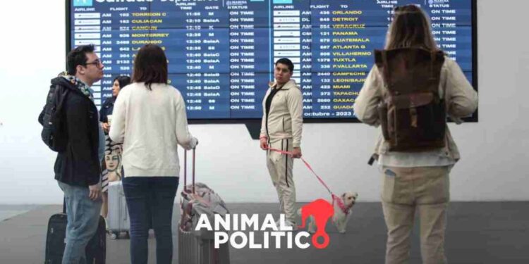 Agencias de viajes en línea suman 2 mil 500 quejas en Profeco; Expedia encabeza los reclamos