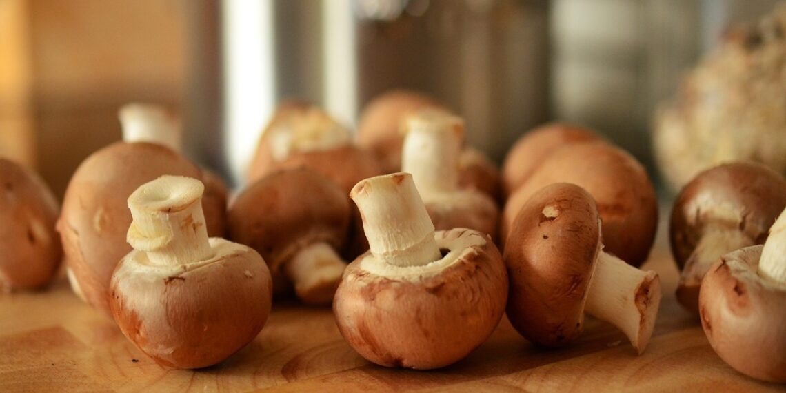 Combatting Winter Depression: Embrace The Healing Power Of These 6 Foods