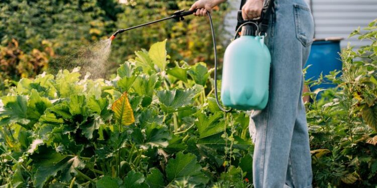 Common pesticides in food reducing sperm count worldwide, study says