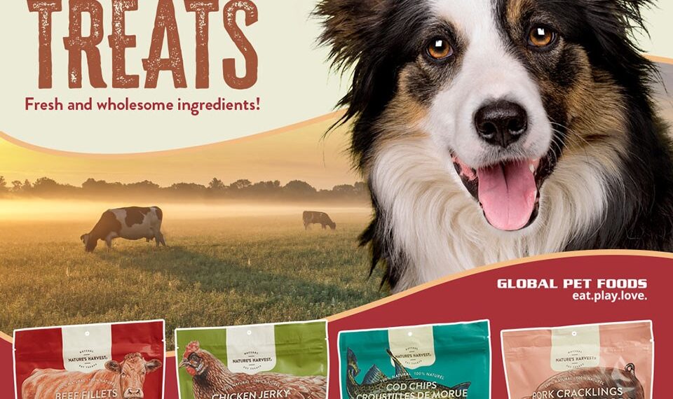 Discover the Best in Pet Nutrition: Global Pet Foods Okotoks
