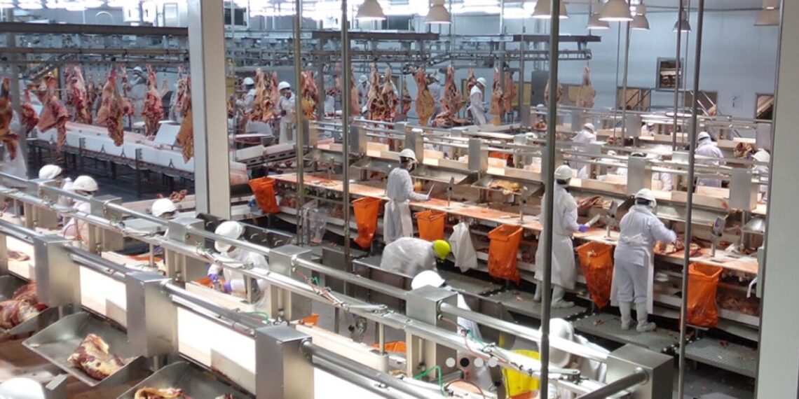 Frigorífico Concepción y Minerva Foods exportaron las primeras 10.000 toneladas de carne a Estados Unidos - Rurales
