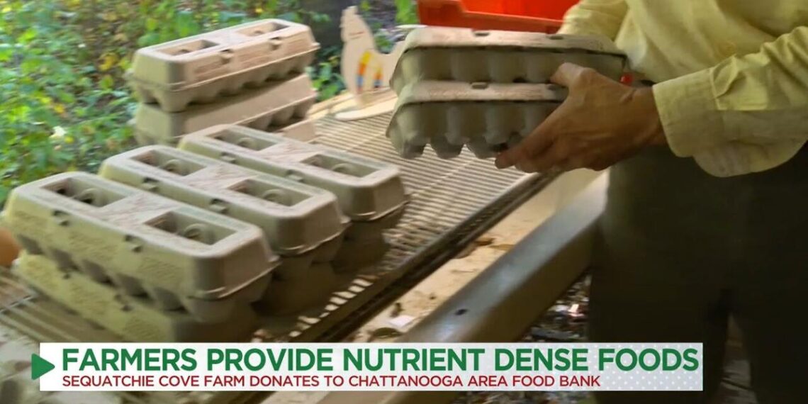 SYC 2023: Local farmer donates nutrient dense foods to food bank | Local News
