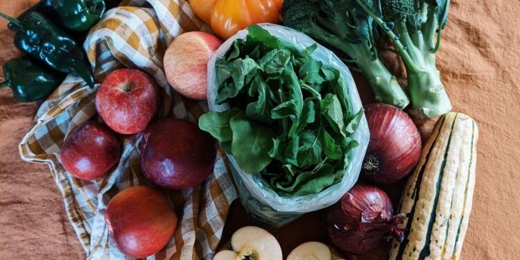 LINC Foods helps multiple eastern Washington food banks distribute local produce to families | News