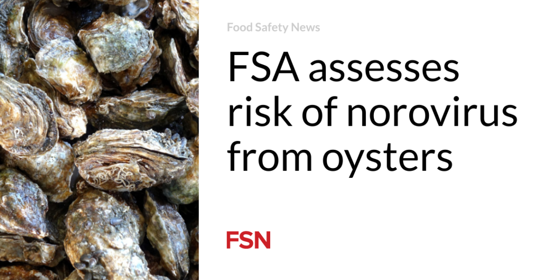 FSA assesses risk of norovirus from oysters