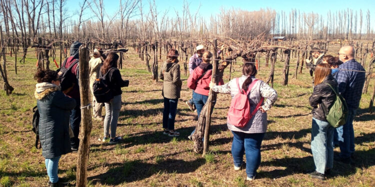 La cadena de valor turística se expande en el territorio rionegrino