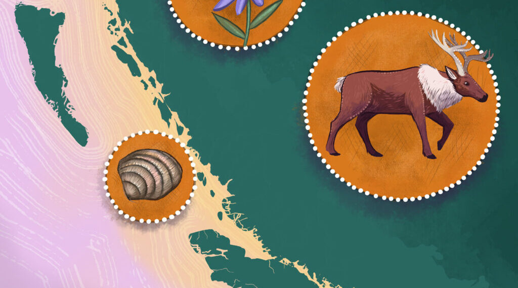 First Nations food sovereignty in the 21st century