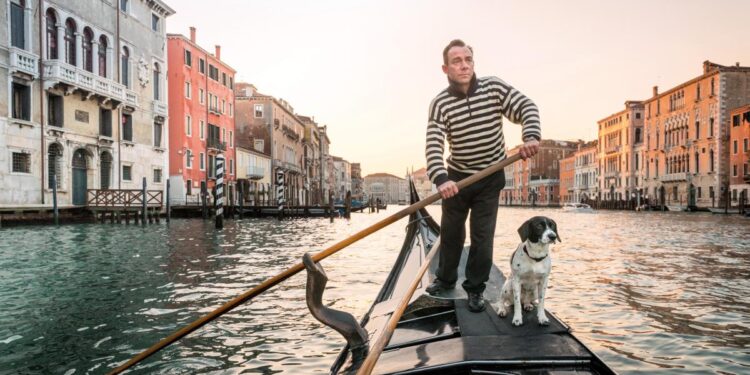 Sacher en Viena y palomas de San Marcos, los 50 mejores destinos para viajar con tu mascota