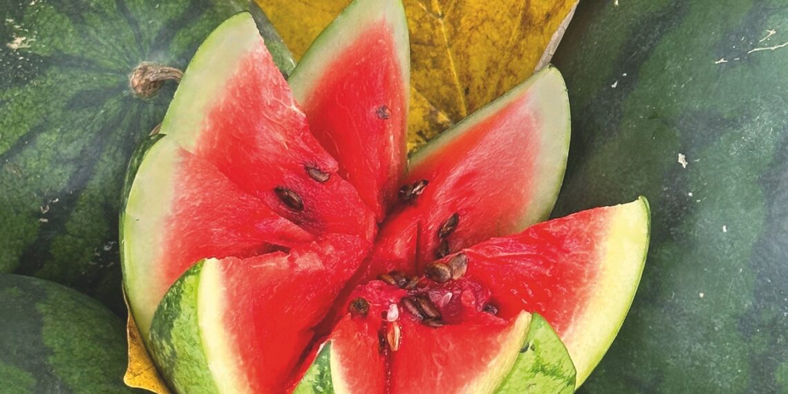 These are the best foods to eat while breastfeeding