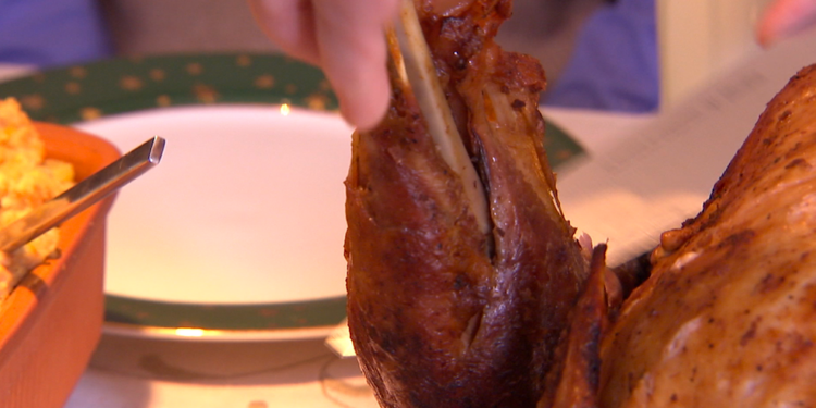 Keep your pets safe this Thanksgiving: What holiday foods are dog-friendly?