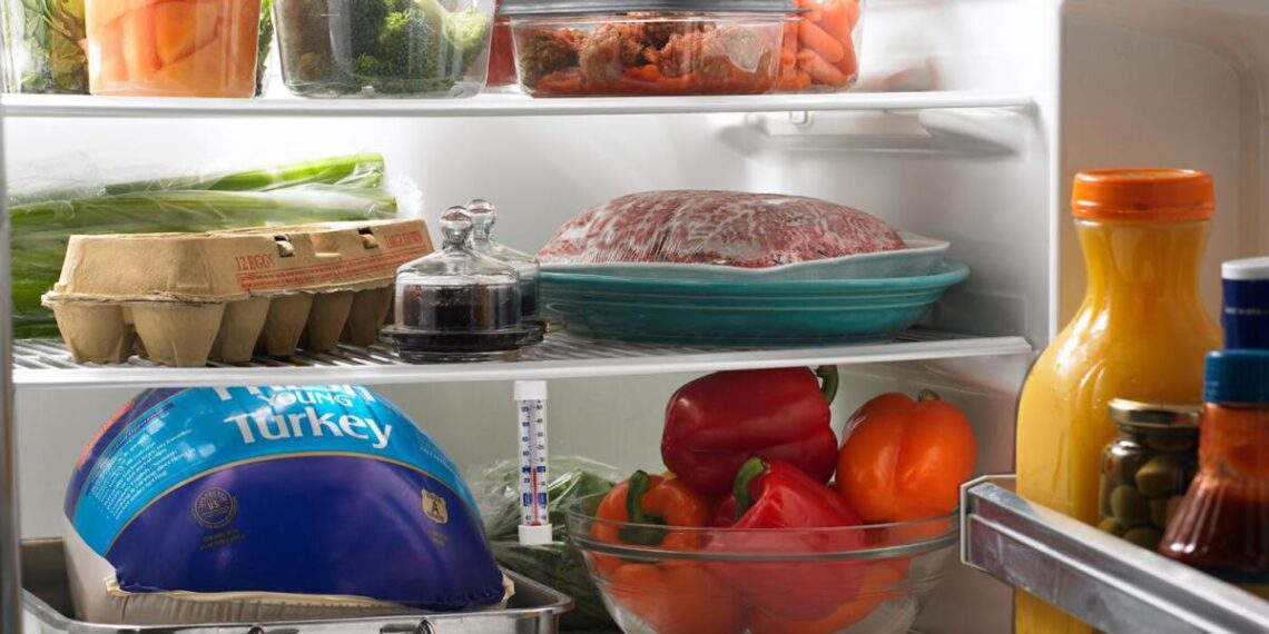 Cami Wells: Keeping your food safe: Tips for refrigerator safety